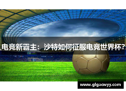 电竞新霸主：沙特如何征服电竞世界杯？