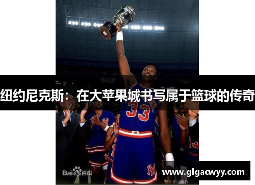纽约尼克斯：在大苹果城书写属于篮球的传奇